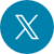 X icon